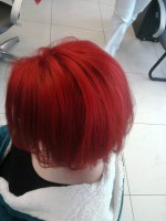 /album/fotogaleria-kadernictvo/fotografia0355-jpg/