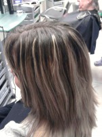 /album/fotogaleria-kadernictvo/fotografia0369-jpg/