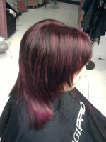 /album/fotogaleria-kadernictvo/fotografia0375-jpg/